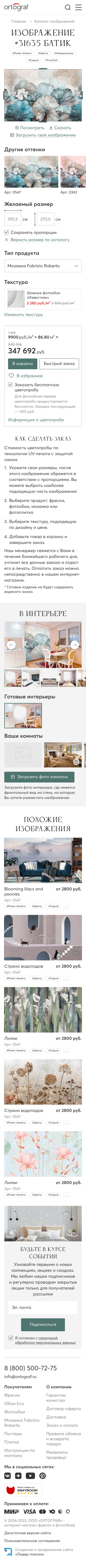 Страница изображения сайта ortograf.ru на мобильных