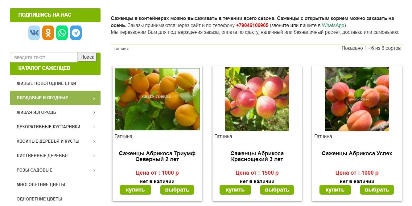 ТОП-4 в Гугле по запросу «саженцы абрикоса купить спб» (на листинге весь товар не в наличии)